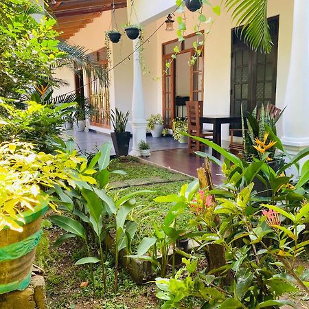 Fairview Dill Homestay Sigiriya Esterno foto