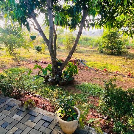 Fairview Dill Homestay Sigiriya Esterno foto