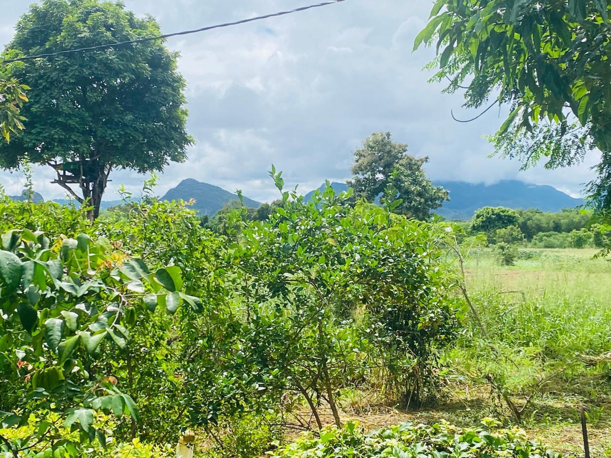 Fairview Dill Homestay Sigiriya Esterno foto