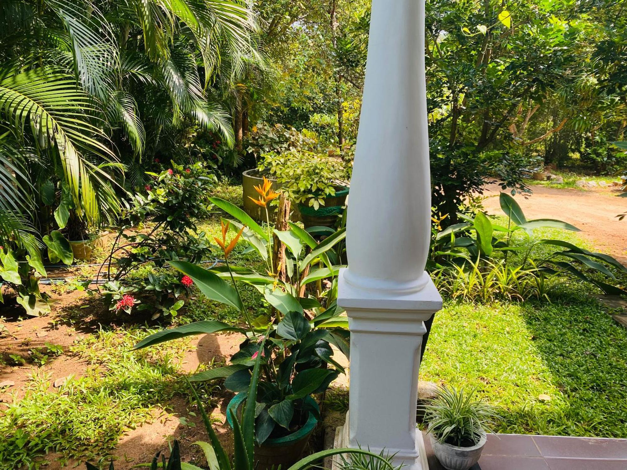 Fairview Dill Homestay Sigiriya Esterno foto