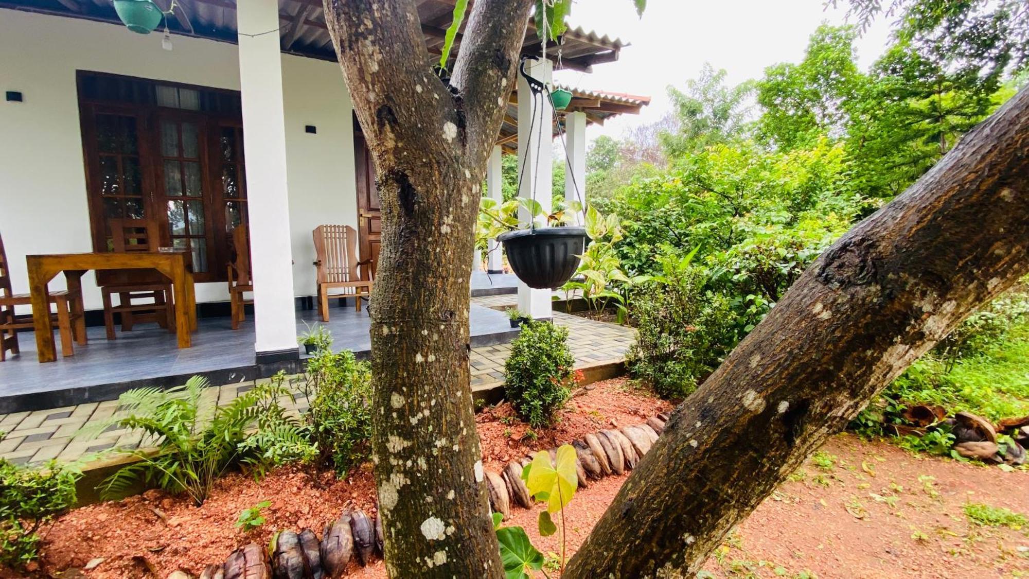 Fairview Dill Homestay Sigiriya Esterno foto