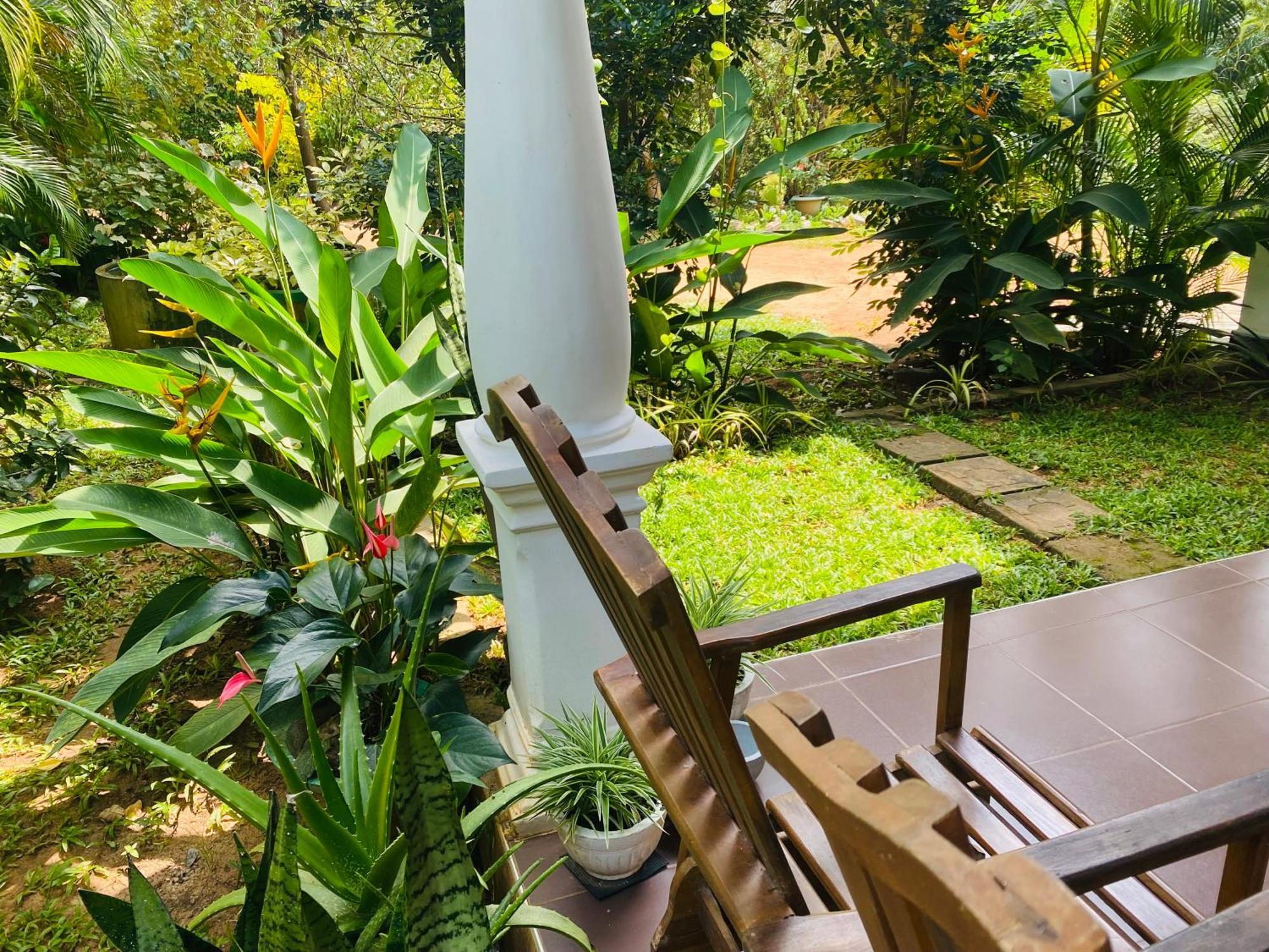 Fairview Dill Homestay Sigiriya Esterno foto