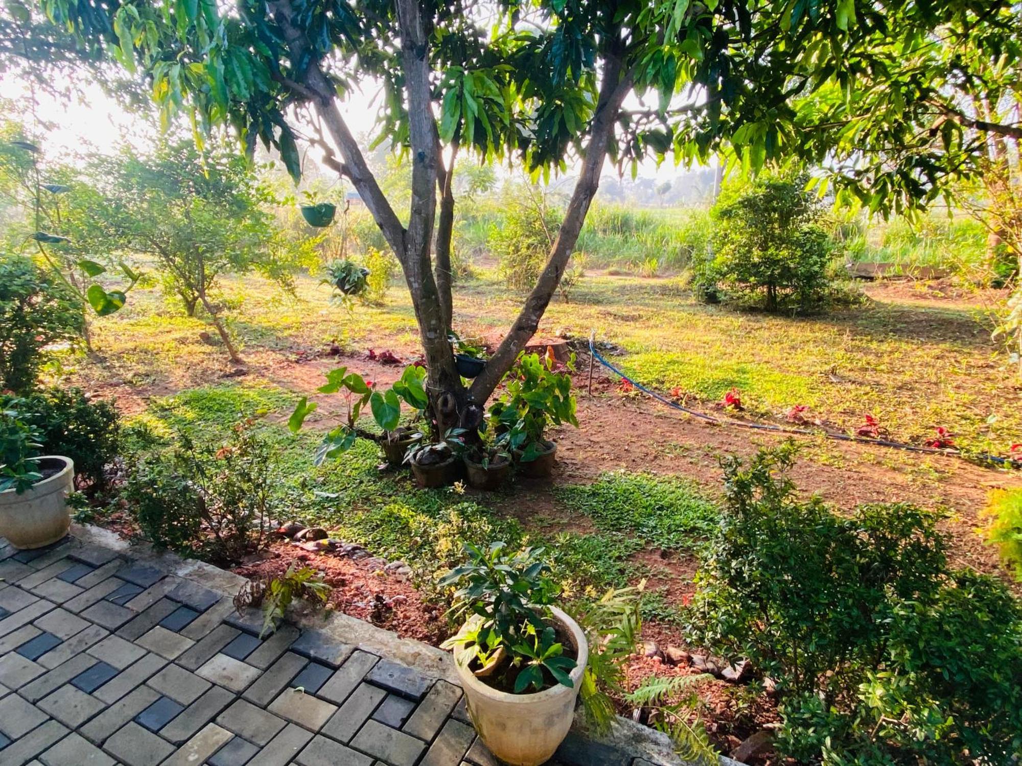 Fairview Dill Homestay Sigiriya Esterno foto